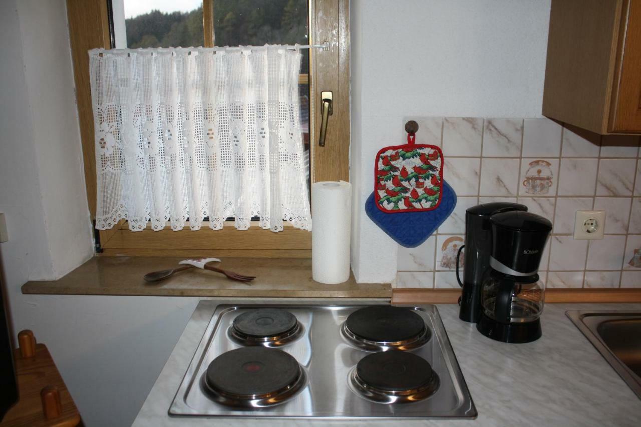 Ferienwohnung Eva Und Alexander Hirschbach  Extérieur photo